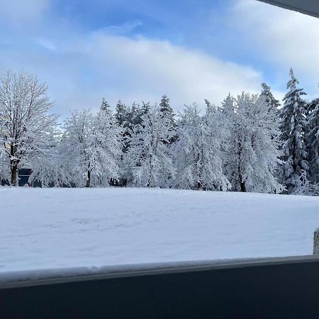 Ferienwohnung Auenglueck Hahnenklee Harz Goslar Eksteriør billede