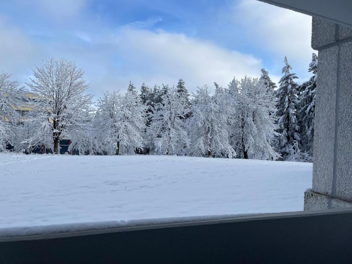 Ferienwohnung Auenglueck Hahnenklee Harz Goslar Eksteriør billede